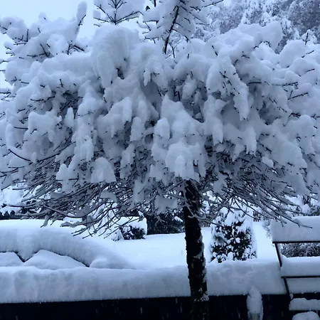 Eggstaett-hartsee Appartement *