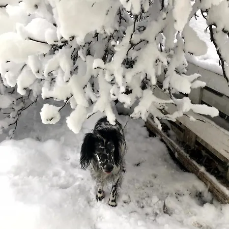 Appartement Eggstaett-hartsee Eggstätt