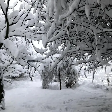 Eggstaett-hartsee * Eggstätt