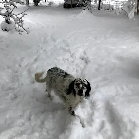 Eggstaett-hartsee Eggstätt