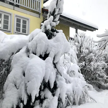 Eggstaett-hartsee Apartment *